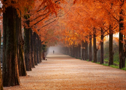 Сезонні гаджети